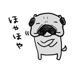 fukui pug sticker #9661359