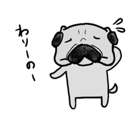 fukui pug sticker #9661361