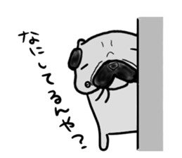 fukui pug sticker #9661362