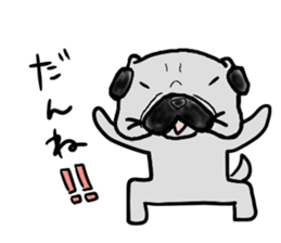 fukui pug sticker #9661363