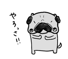 fukui pug sticker #9661364