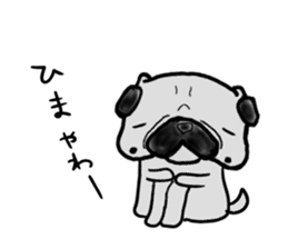 fukui pug sticker #9661367