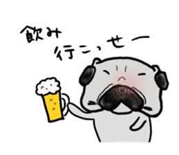 fukui pug sticker #9661368