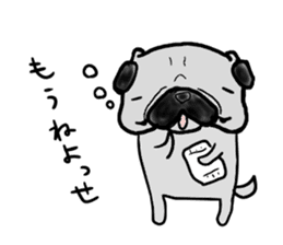 fukui pug sticker #9661371