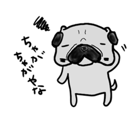 fukui pug sticker #9661373