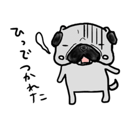 fukui pug sticker #9661374