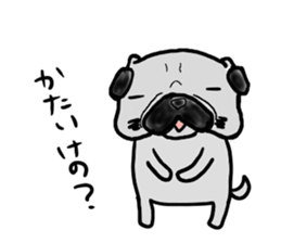 fukui pug sticker #9661376
