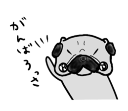 fukui pug sticker #9661378