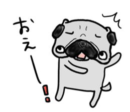 fukui pug sticker #9661379