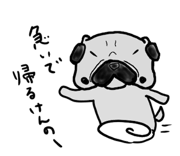 fukui pug sticker #9661380
