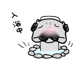 fukui pug sticker #9661381