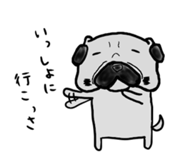 fukui pug sticker #9661382