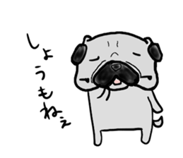 fukui pug sticker #9661383