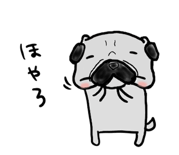 fukui pug sticker #9661388