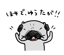 fukui pug sticker #9661391