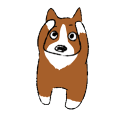 Welsh Corgi  miruku sticker #9662440