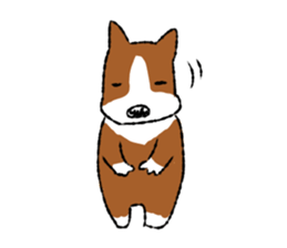 Welsh Corgi  miruku sticker #9662443
