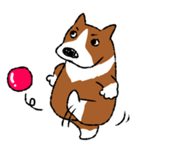 Welsh Corgi  miruku sticker #9662458