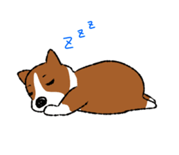 Welsh Corgi  miruku sticker #9662462