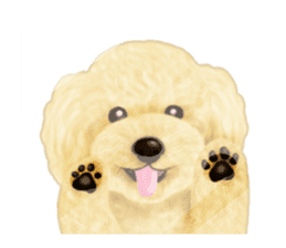 Poodle's real feelings 2 sticker #9663552