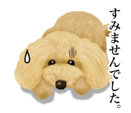 Poodle's real feelings 2 sticker #9663558