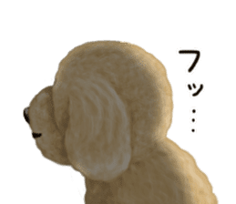 Poodle's real feelings 2 sticker #9663564