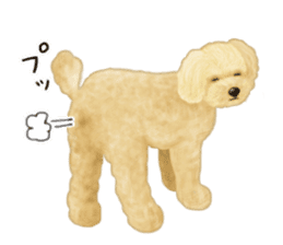 Poodle's real feelings 2 sticker #9663568