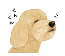 Poodle's real feelings 2 sticker #9663576