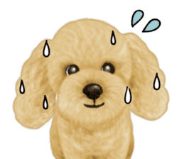 Poodle's real feelings 2 sticker #9663577