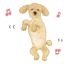 Poodle's real feelings 2 sticker #9663584