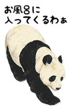 Cute Panda and Whale sticker #9664194