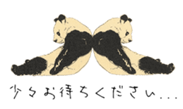 Cute Panda and Whale sticker #9664201