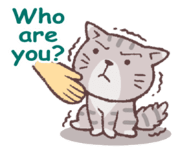 For cats (English) sticker #9666251