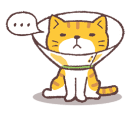 For cats (English) sticker #9666270