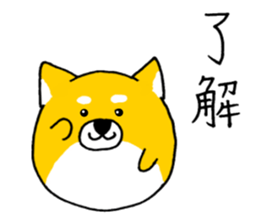 Koroinu shibakoro sticker #9666754