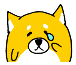 Koroinu shibakoro sticker #9666766