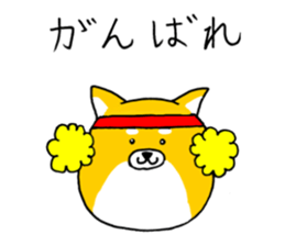 Koroinu shibakoro sticker #9666774