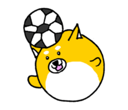 Koroinu shibakoro sticker #9666788