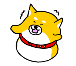 Koroinu shibakoro sticker #9666789