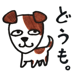 jack russell terrier pretty