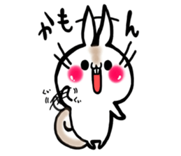 USARIRisu 6 sticker #9667929