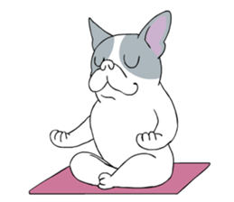 Yogi French Bulldog sticker #9672236