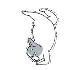 Yogi French Bulldog sticker #9672251