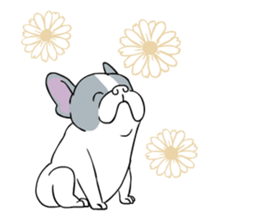 Yogi French Bulldog sticker #9672257