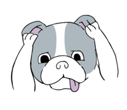 Yogi French Bulldog sticker #9672262