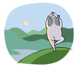 Yogi French Bulldog sticker #9672269