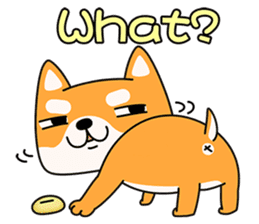 Naughty Shiba Inu (Shiba-Dog) 1 sticker #9676953