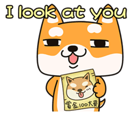 Naughty Shiba Inu (Shiba-Dog) 1 sticker #9676967