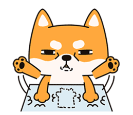 Naughty Shiba Inu (Shiba-Dog) 1 sticker #9676991