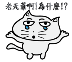 make a cat laugh sticker #9680426